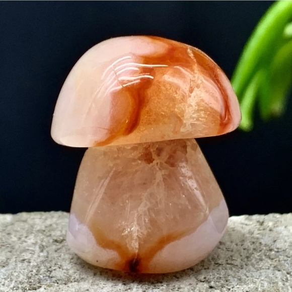 40G Natural Banded Silk Agate Mushroom Crystal Natural Gemstone Madagascar - Picture 3 of 13